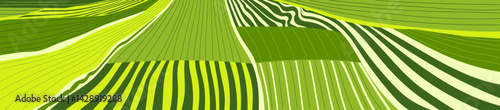 Vector farm field landscape. Furrows pattern in a plowed prepared for crops planting. Rows of soil, rural countryside perspective horizon view. Green stripes sketch illustration.