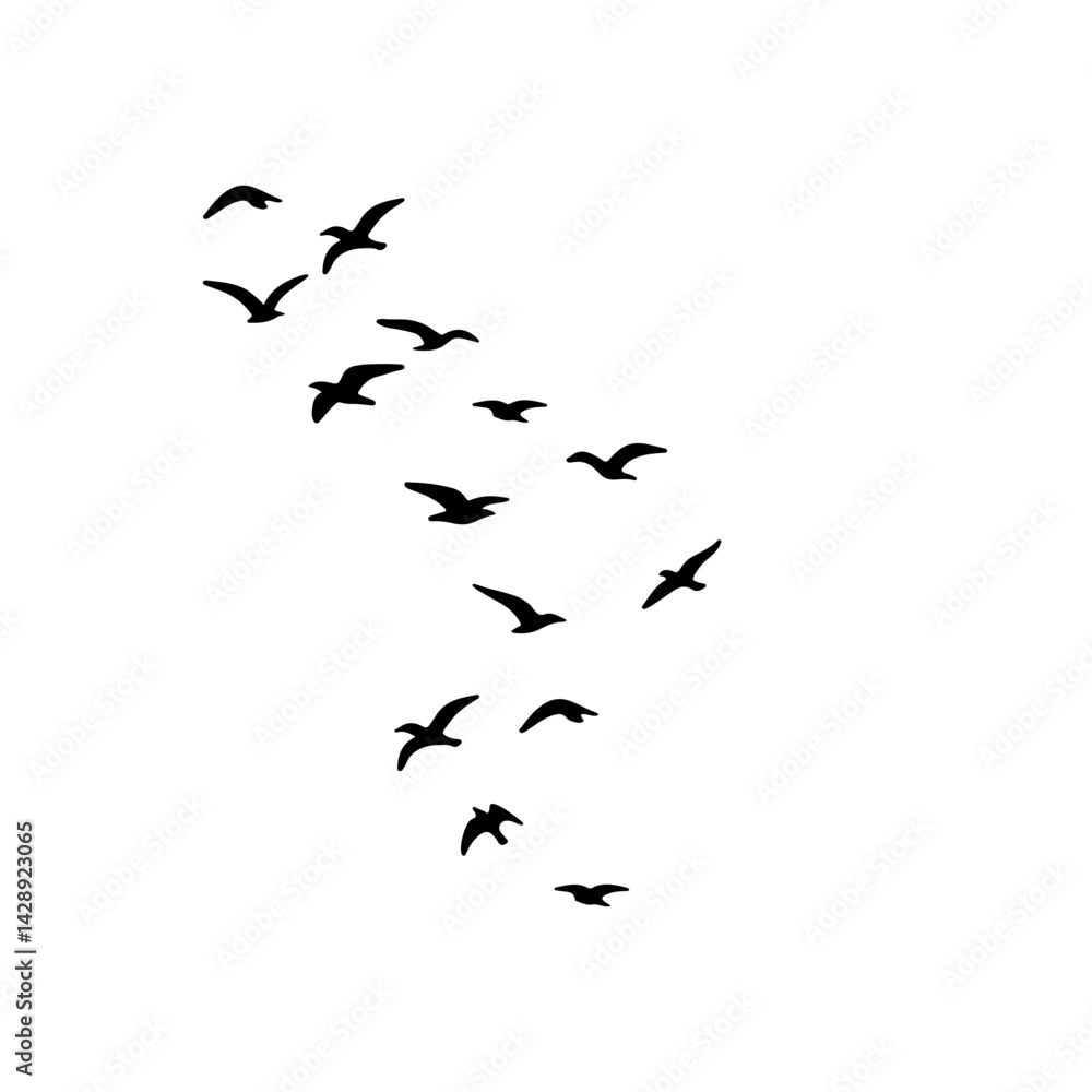 flock of birds illustration flock of birds illustration