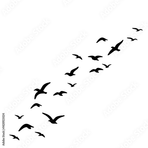 flock of birds illustration