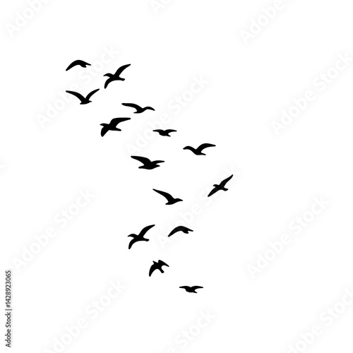 flock of birds illustration