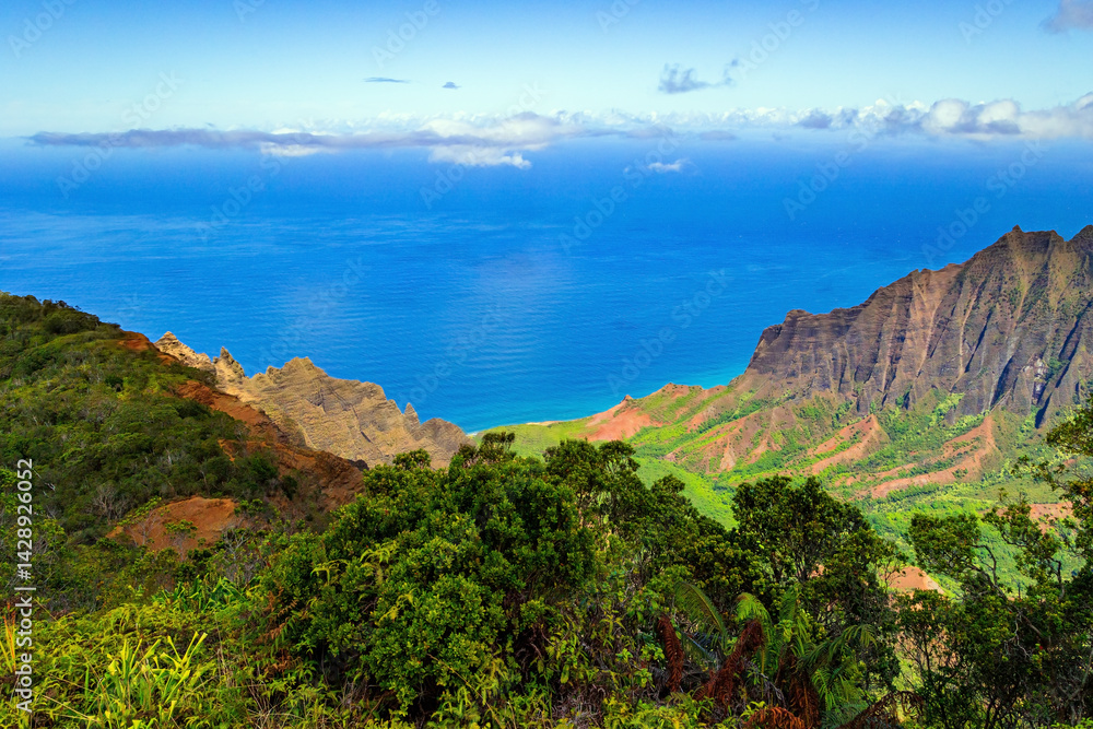 Fototapeta premium Polynesia. Helicopter flight