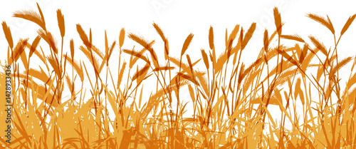 Field with cereals and grass. Vector isolated silhouette of grain plants meadow.  Color horizontal border.