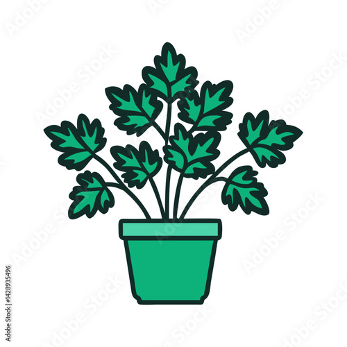 Parsley Herb Plant in Pot, Green Icon Vector