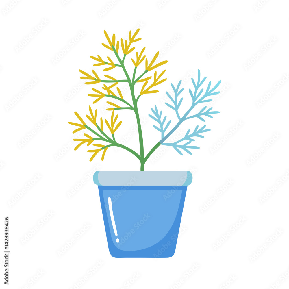 Colorful plant in a pot on black background Colorful plant in a pot on black background