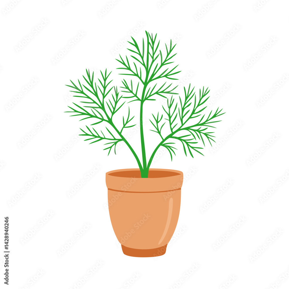 Obraz premium Dill Plant in Pot Isolated on Black Background