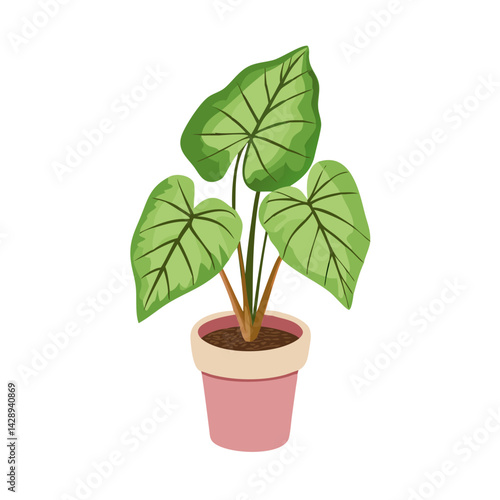 Stylized Caladium Plant in Pink Pot on Black