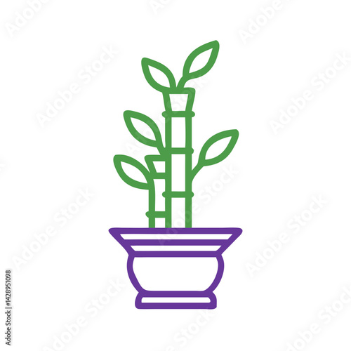 Lucky Bamboo Plant in Pot Isolated on Black