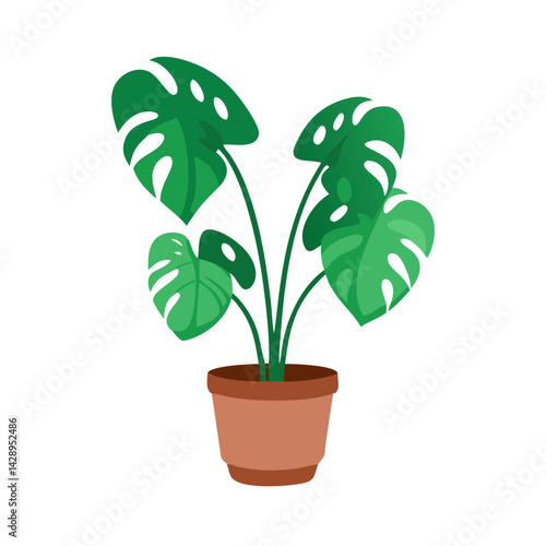 Potted Monstera Plant, Simple Green Illustration on Black
