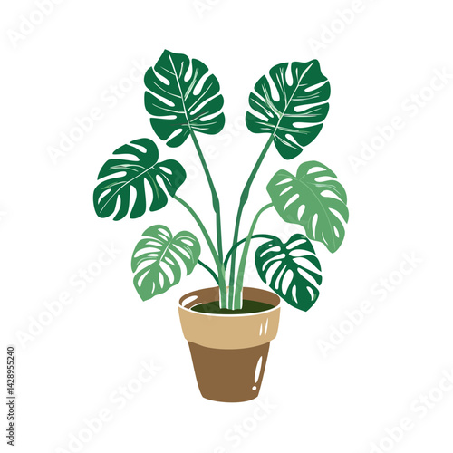 Potted Monstera Deliciosa Illustration on a Black Background