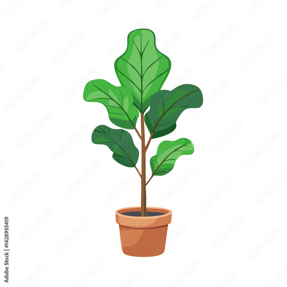 Fiddle leaf fig plant in pot illustration design Fiddle leaf fig plant in pot illustration design
