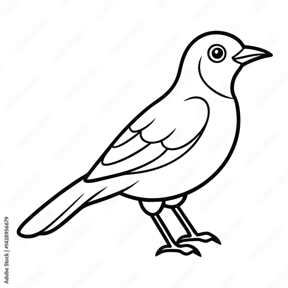 Fototapeta premium Hand drawn bird vector image, Cute Bird illustration for kids.