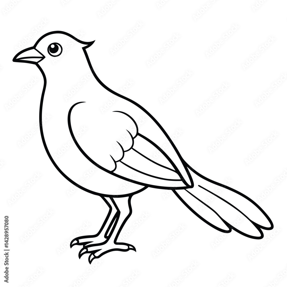 Fototapeta premium Hand drawn bird vector for kids, Colorful Cute Bird illustration for kids.
