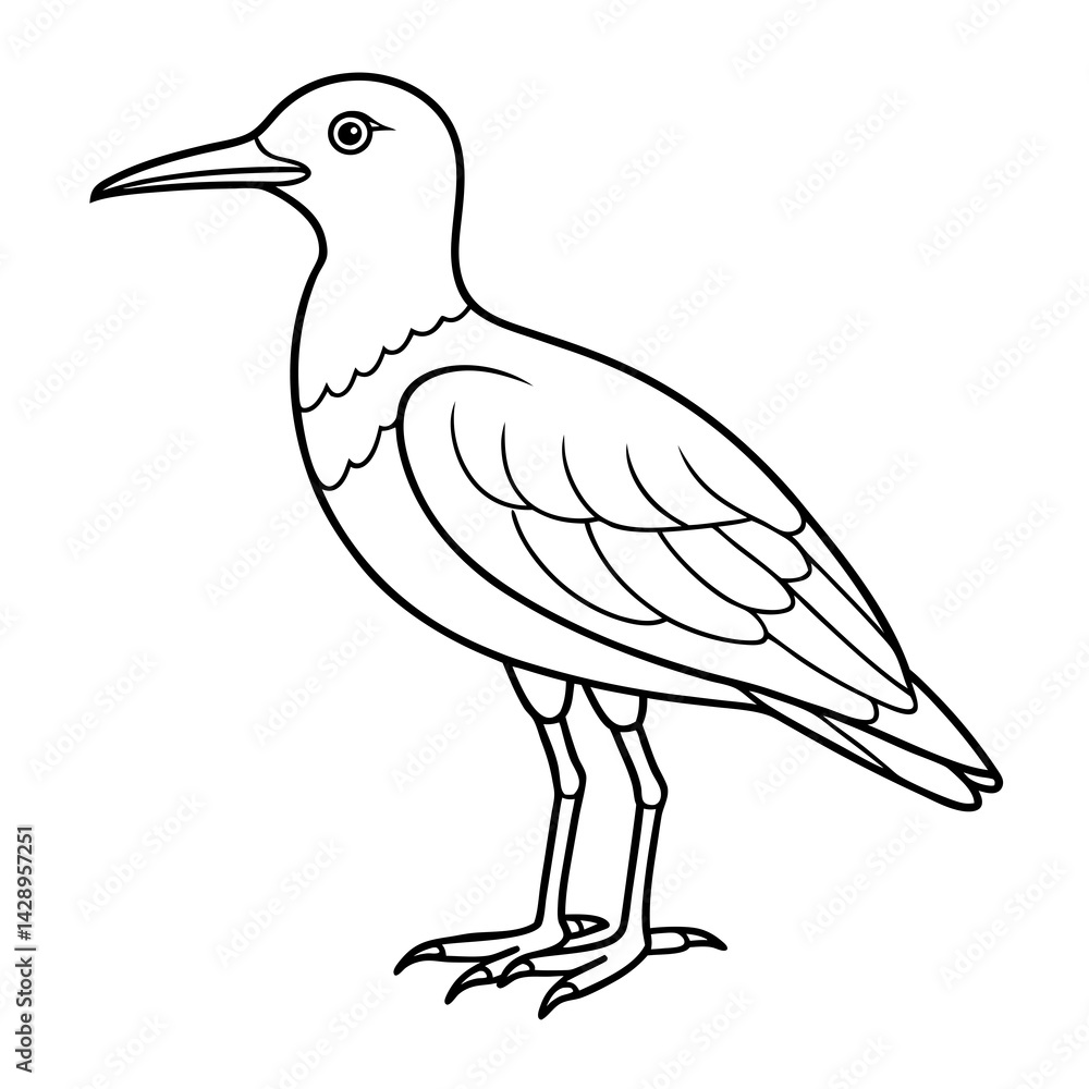 Obraz premium Bird coloring page outline vector Illustration white background