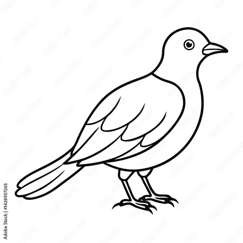 Fototapeta premium Bird coloring page outline vector white color white background