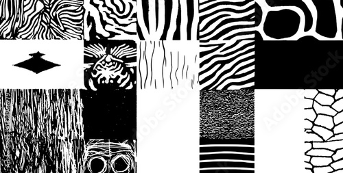 Intriguing patterns in bold black and white showcasing the beauty of contrasts and textures across various shapes and designs