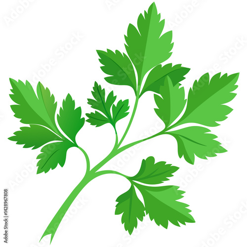 Flat vector illustration of fresh parsley sprig with vibrant green leaves
