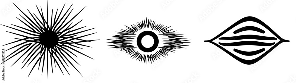 Obraz premium Dynamic abstract shapes radiating energy in a minimalist black and white design