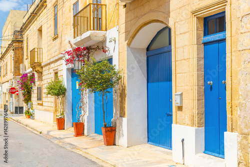 Obraz na płótnie View of an empty typical Maltese street with potted trees near blue wooden garage doors w salonie