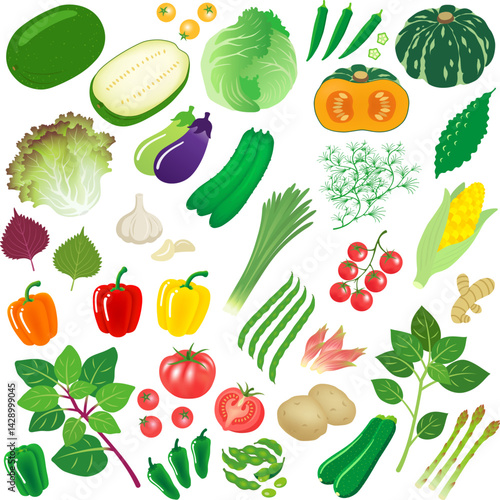 夏野菜