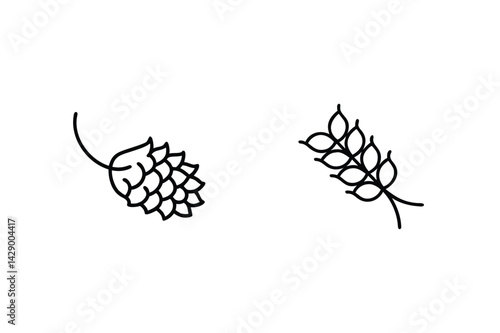 Minimalist Outline Hop And Wheat Illustration For Beer And Brewing Design