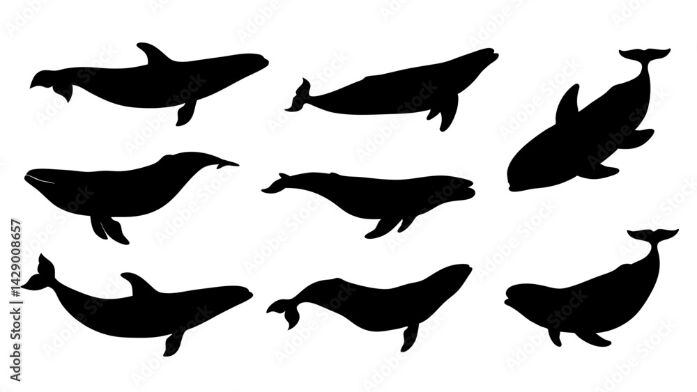 set of Blue whale silhouette vector on white background set of Blue whale silhouette vector on white background