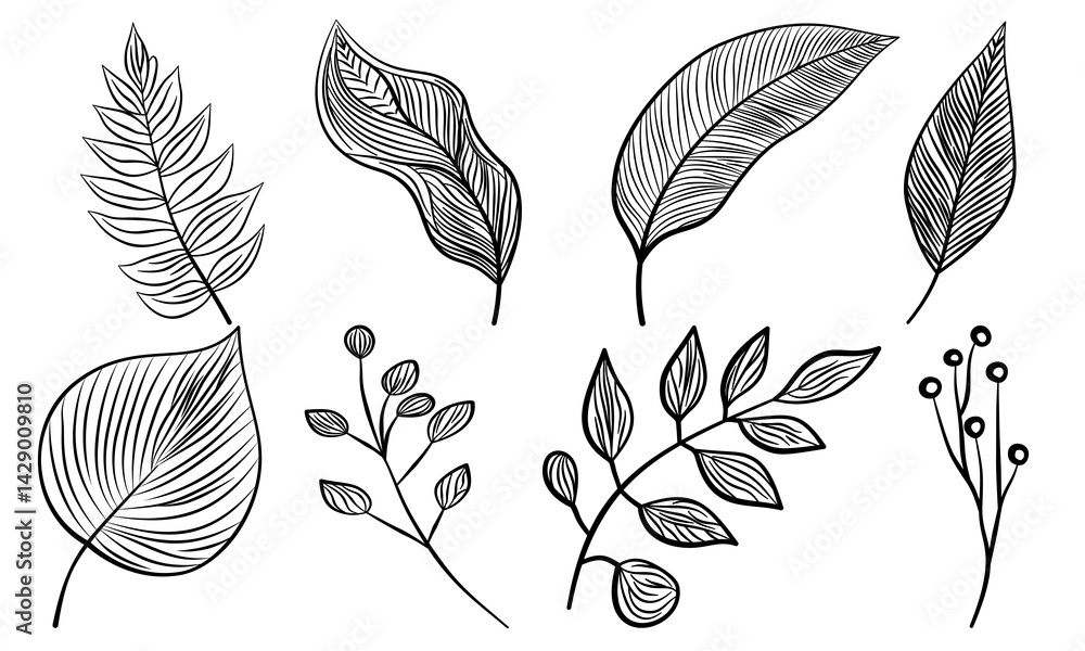 Leaf hand drawn autumn botanical different outline collection.Set vector leaves line art style object black on white background.Element sketches illustration tropical foliage branches.decoration,card. Leaf hand drawn autumn botanical different outline collection.Set vector leaves line art style object black on white background.Element sketches illustration tropical foliage branches.decoration,card.