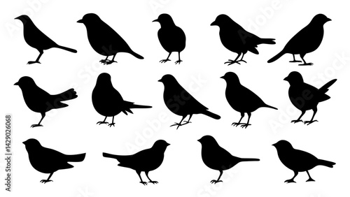 set of black bird silhouette vector on white background