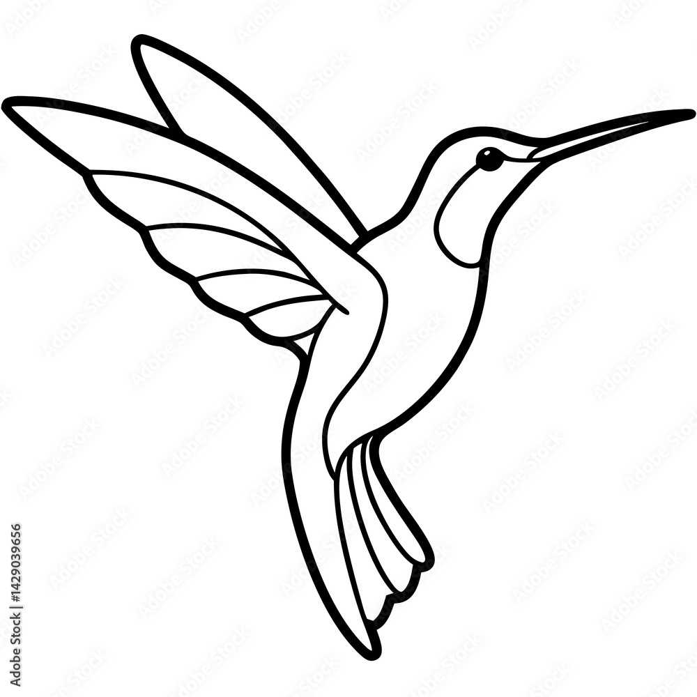 Fototapeta premium Sleek Hummingbird Outline Vector Design