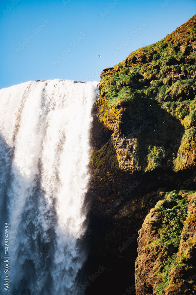 Close-up view of Skógafoss waterfall in Iceland with lush green moss, dramatic rock textures, and blue sky.