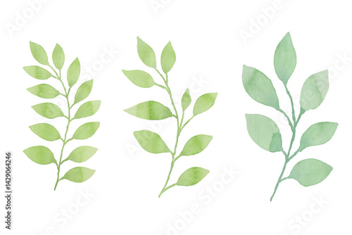 Watercolor leaves illustration set - green leaf branches collection for wedding, greetings, stationary, wallpapers, fashion, background. olive, green leaves, Eucalyptus etc