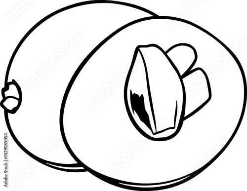 Halved Sapodilla Fruit Illustration A Simple Line Drawing