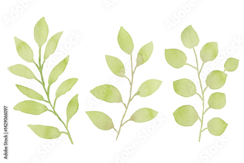 Watercolor leaves illustration set - green leaf branches collection for wedding, greetings, stationary, wallpapers, fashion, background. olive, green leaves, Eucalyptus etc
