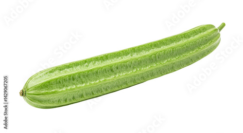 A single angled luffa vegetable with light green skin and ridges isolated on a black background plain view