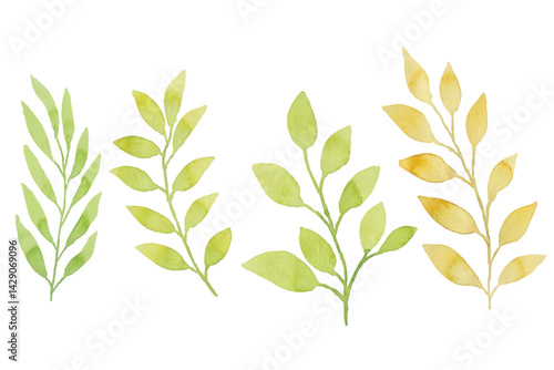 Watercolor leaves illustration set - green leaf branches collection for wedding, greetings, stationary, wallpapers, fashion, background. olive, green leaves, Eucalyptus etc