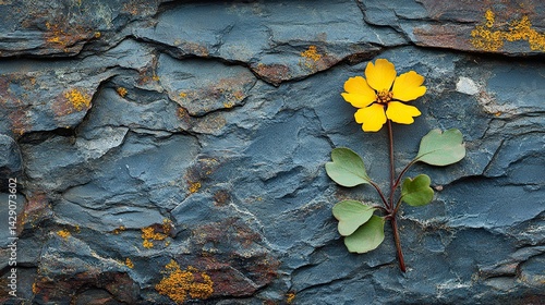 Mustard seeds sprout from the cracks in a wall of solidified time