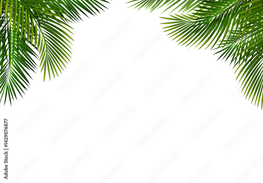 Fototapeta premium eLeavesBorderWithGreenPalmTreeLeaves_10_M_250420