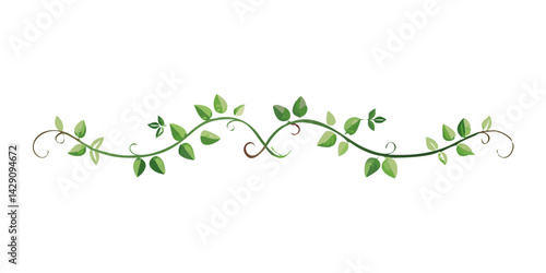 Curved botanical vine divider illustration