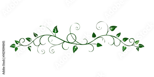 Elegant black vine divider with leaves