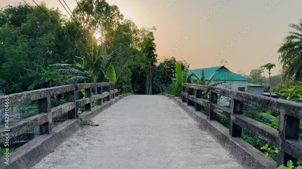 landscape view from the bridge, nature video, 4k video footage landscape view from the bridge, nature video, 4k video footage