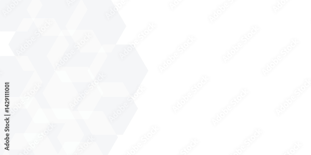 White and grey geometric glossy hexagon background. Geometric and technology banner design. Seamless white geometric lines vector background. cover, poster, brochure, banner, wallpaper design. White and grey geometric glossy hexagon background. Geometric and technology banner design. Seamless white geometric lines vector background. cover, poster, brochure, banner, wallpaper design.