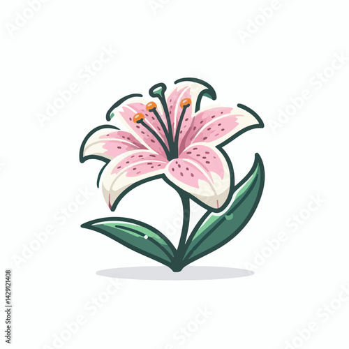 floral, lily, flower, nature, blossom, plant, white, background, spring, flora, bouquet, isolated, botanical, decoration, summer, botany, leaf, bloom, beautiful, green, closeup, petal, illustration, g