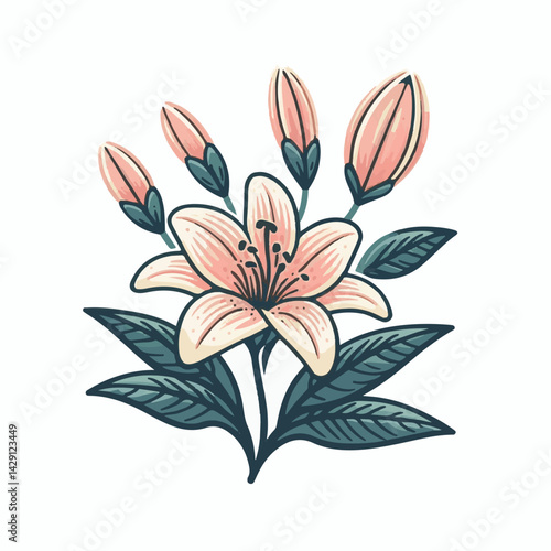 floral, lily, flower, nature, blossom, plant, white, background, spring, flora, bouquet, isolated, botanical, decoration, summer, botany, leaf, bloom, beautiful, green, closeup, petal, illustration, g
