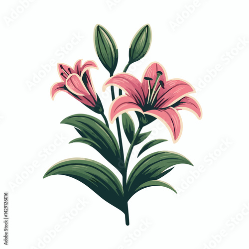 floral, lily, flower, nature, blossom, plant, white, background, spring, flora, bouquet, isolated, botanical, decoration, summer, botany, leaf, bloom, beautiful, green, closeup, petal, illustration, g
