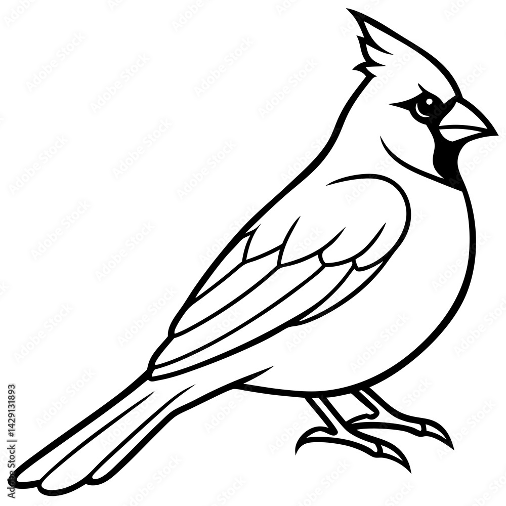 Fototapeta premium Cardinal Bird Continuous Line Art Vector