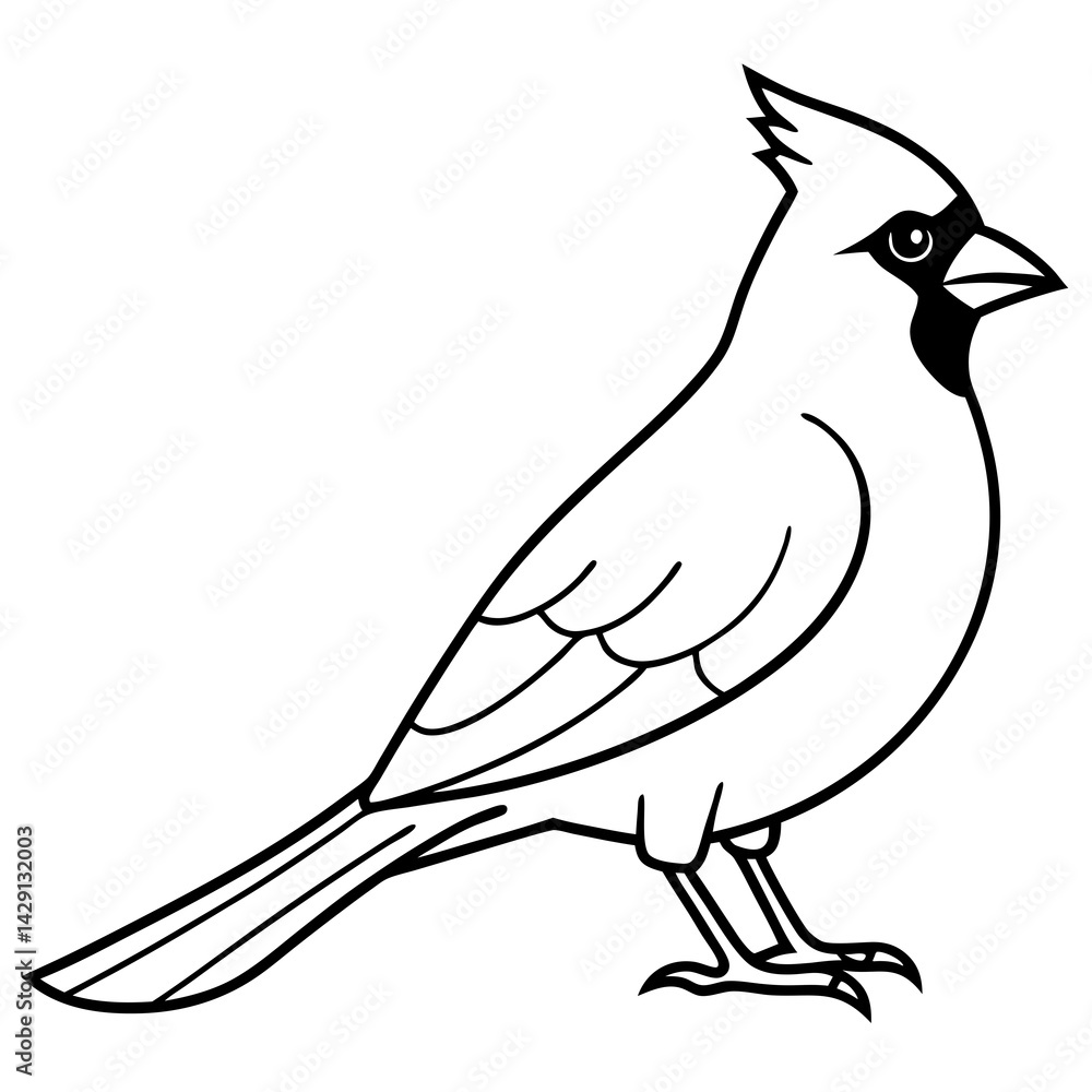 Obraz premium Cardinal Bird Continuous Line Art Vector