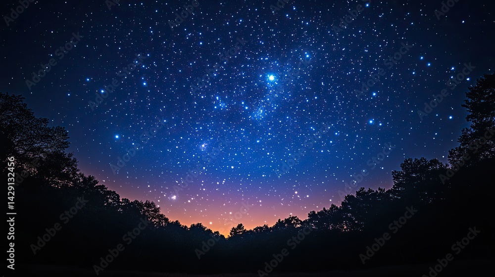 Fototapeta premium Stars twinkle brightly in the night sky