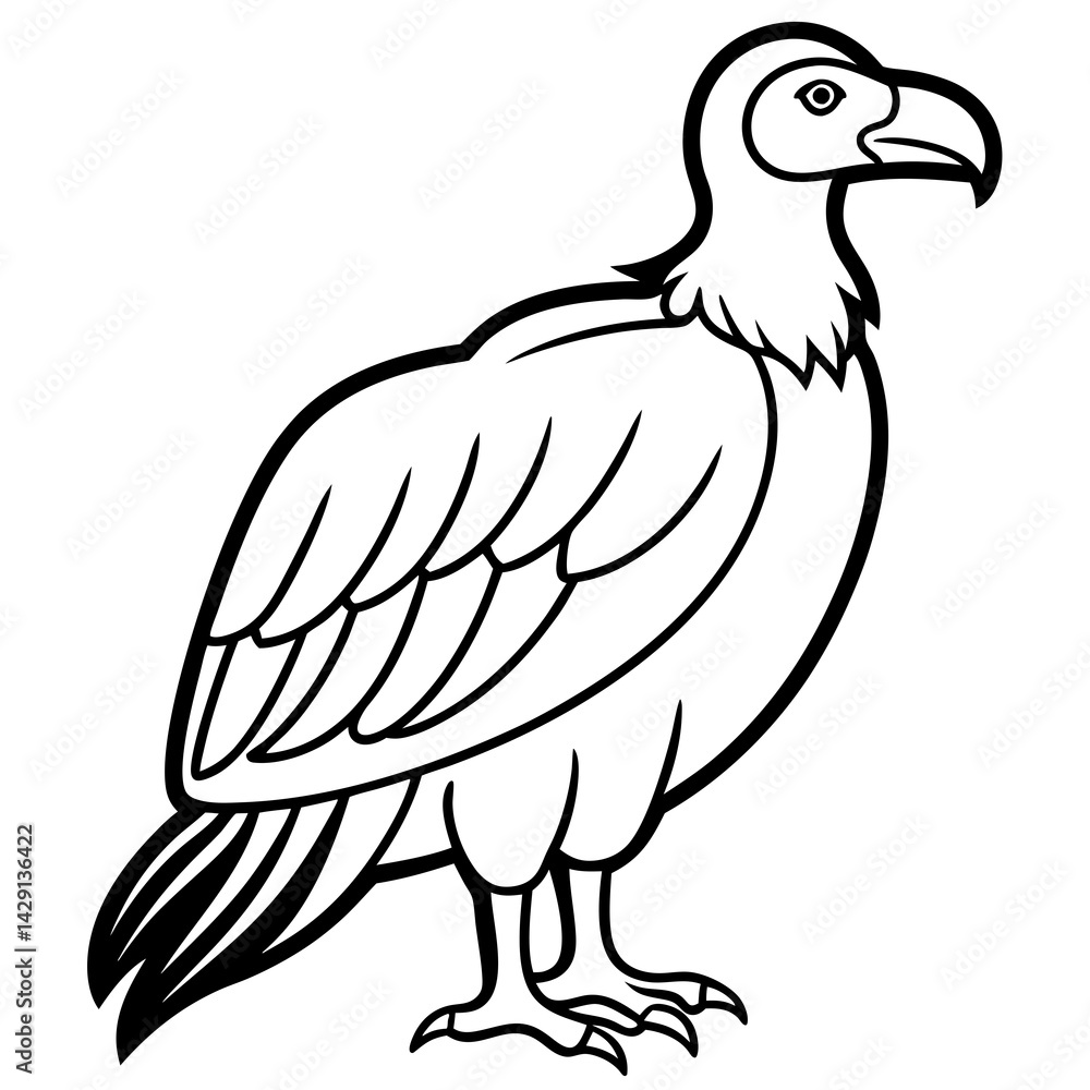 Obraz premium Elegant Condor Outline Vector Design