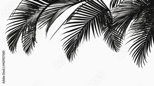 Realistic shadow overlay effect. Natural palm leaf shadows isolated on transparent background. Tropical coconut branch shade, foliage silhouette decoration. Design element for summer spring projects a