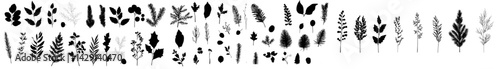 Botanical themed icon vector illustration featuring various leaf and plant designs for creative projects