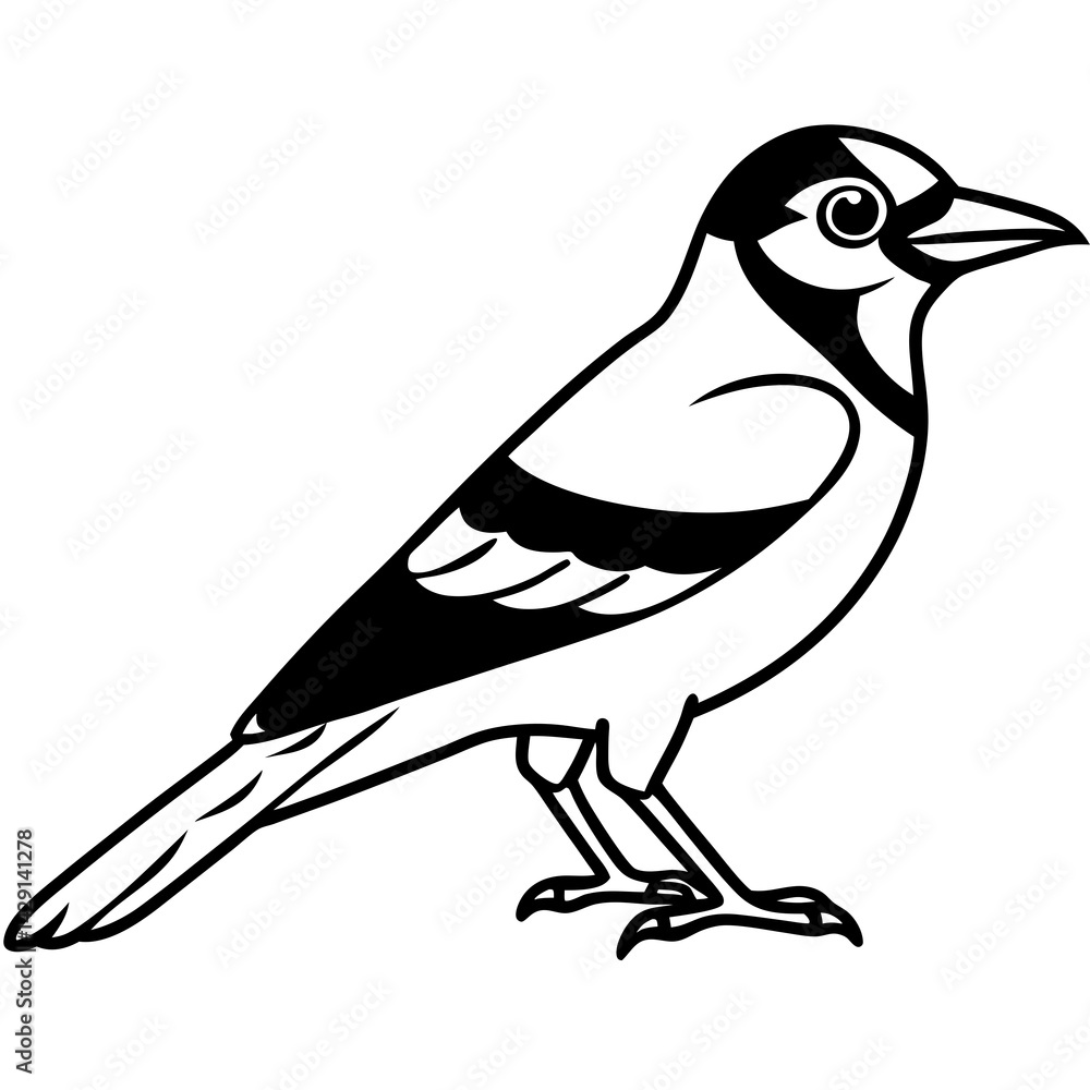 Jay’s Elegant One-Line Vector Art Jay’s Elegant One-Line Vector Art